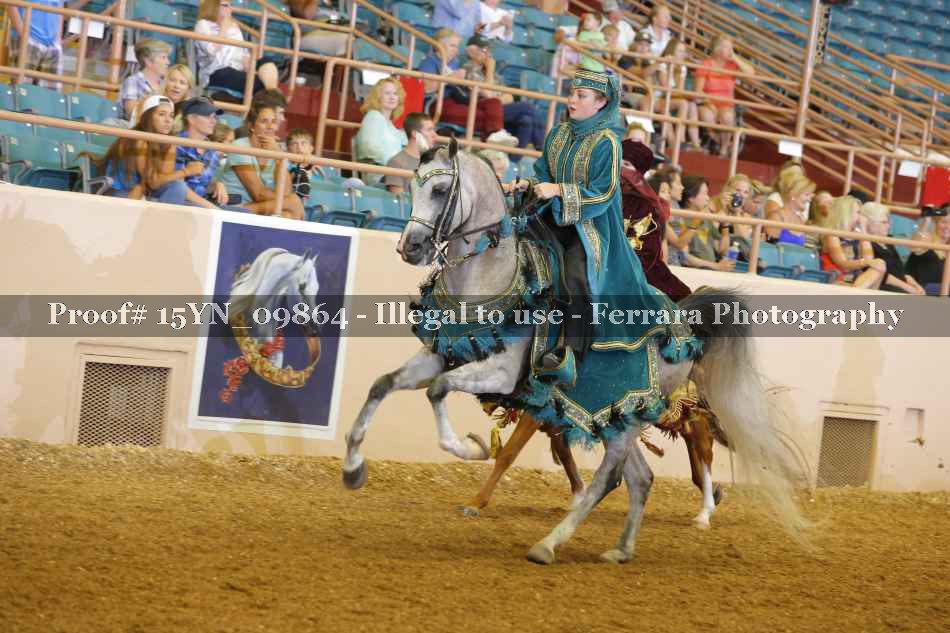 Proof 15YN_09864
