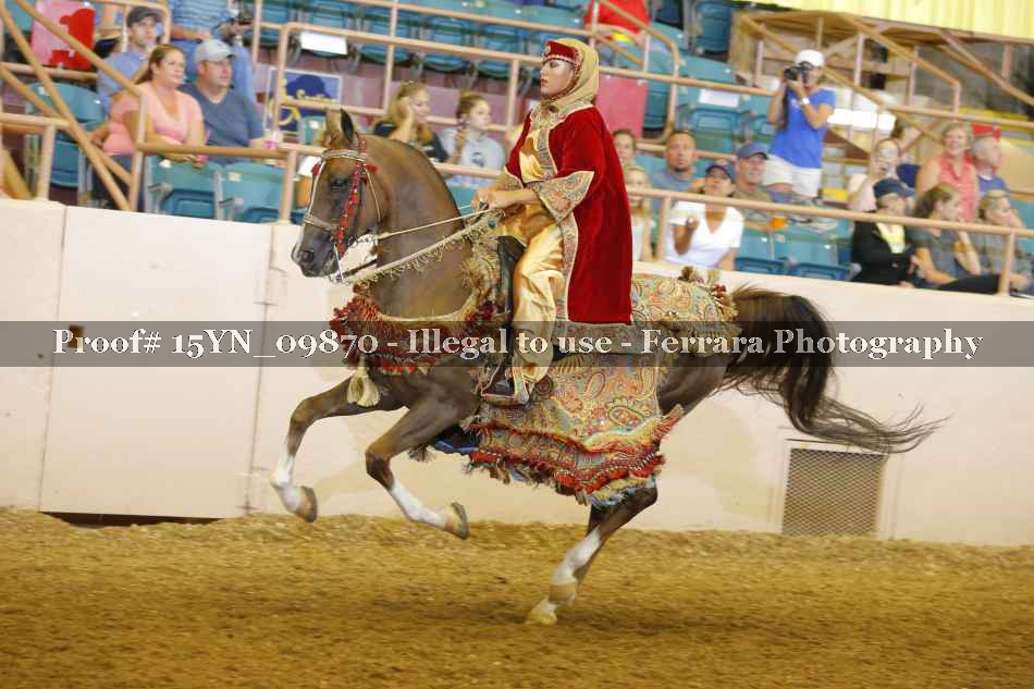 Proof 15YN_09870