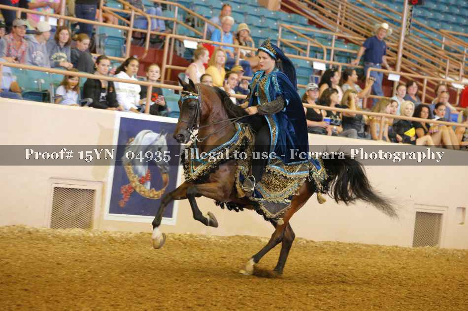 Proof 15YN_04935
