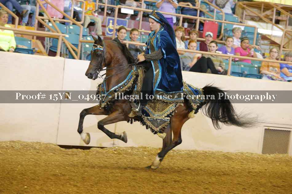 Proof 15YN_04937