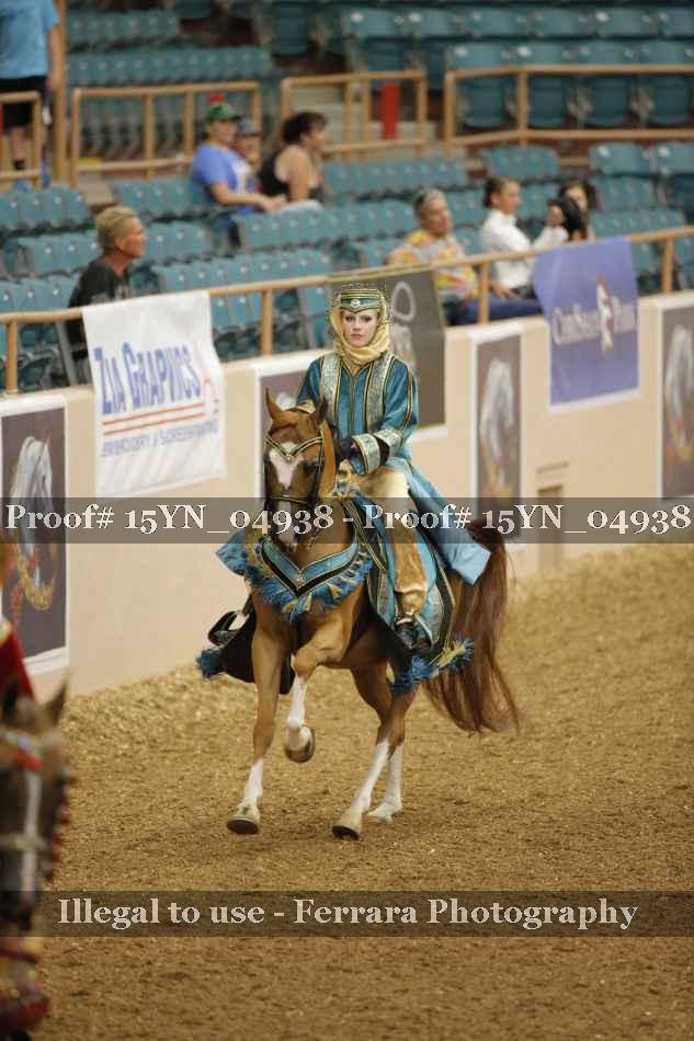 Proof 15YN_04938