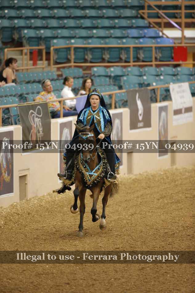 Proof 15YN_04939