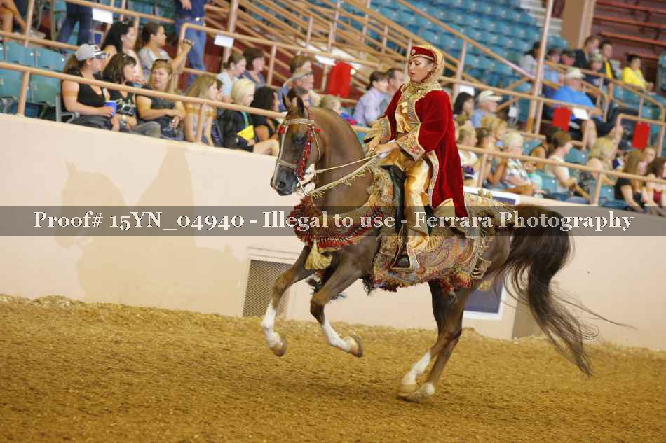 Proof 15YN_04940