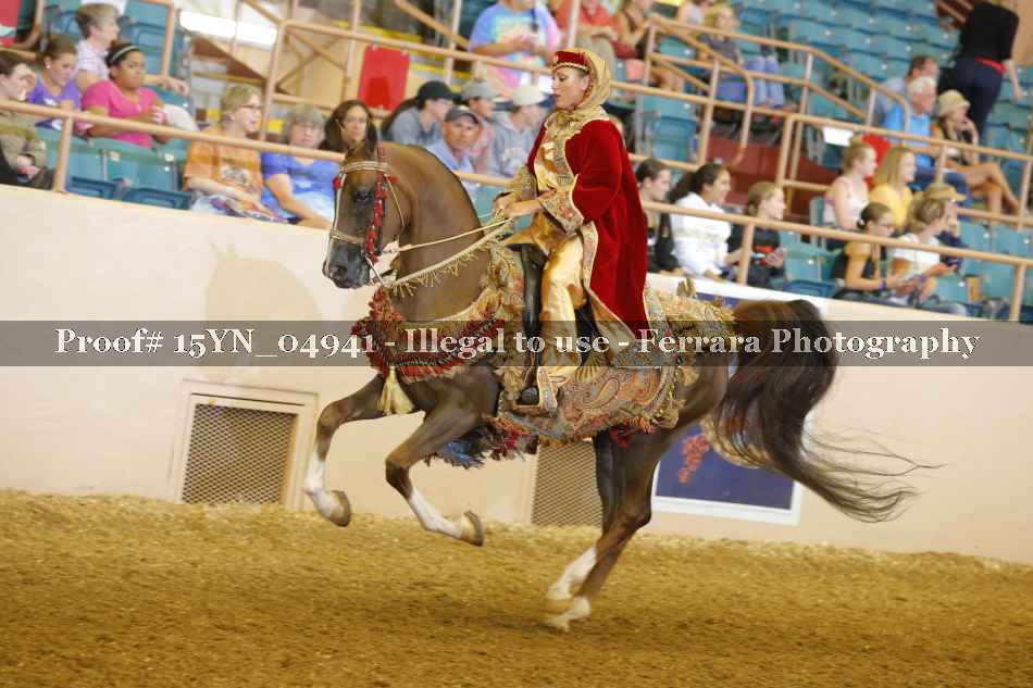 Proof 15YN_04941