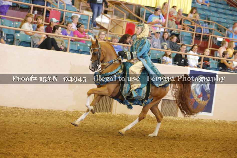 Proof 15YN_04945