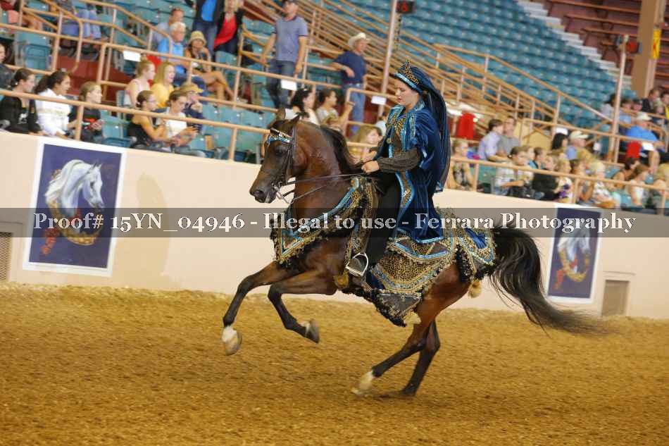 Proof 15YN_04946
