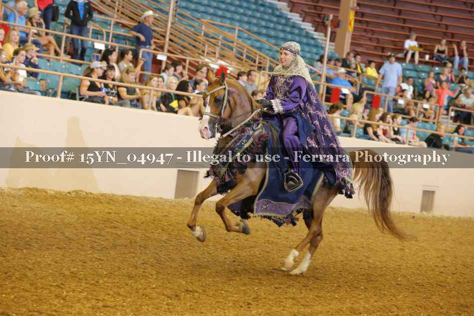 Proof 15YN_04947
