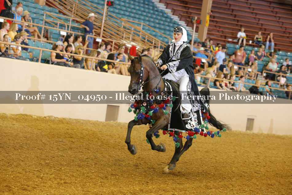 Proof 15YN_04950