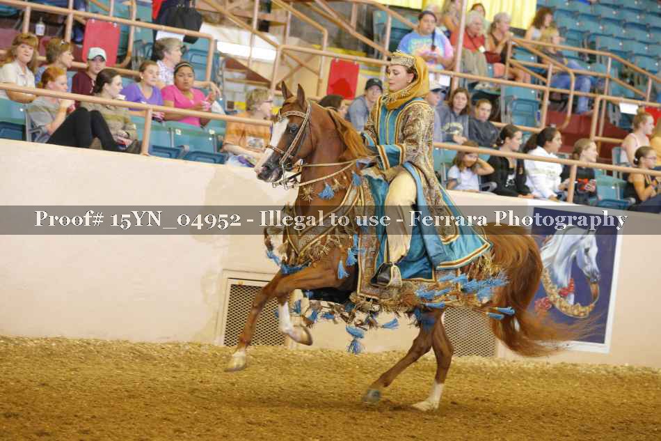 Proof 15YN_04952