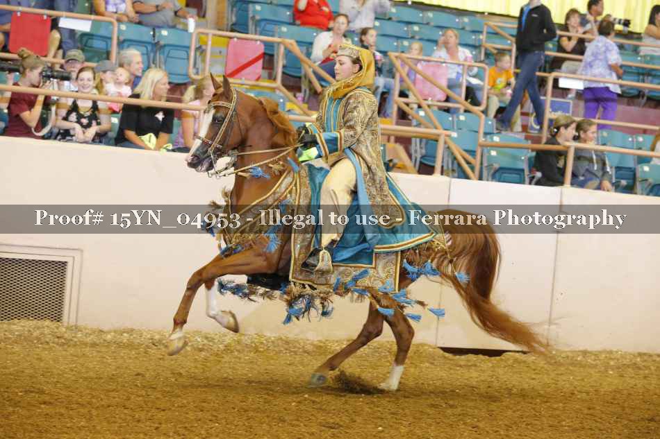Proof 15YN_04953