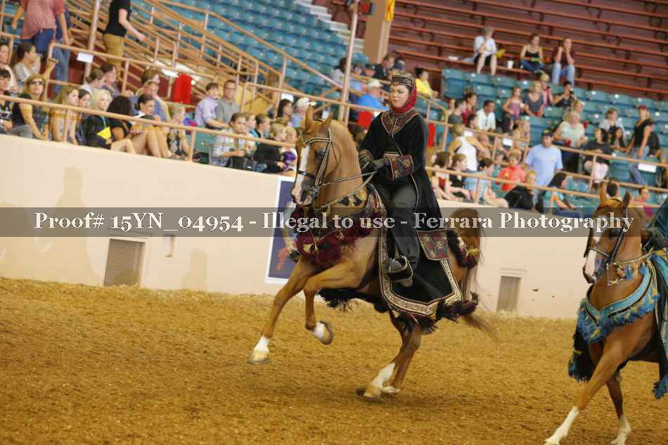 Proof 15YN_04954