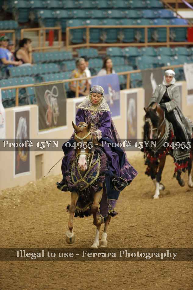 Proof 15YN_04955