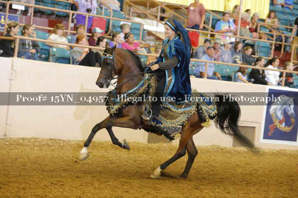 Proof 15YN_04957