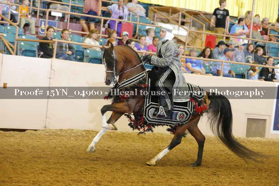 Proof 15YN_04960