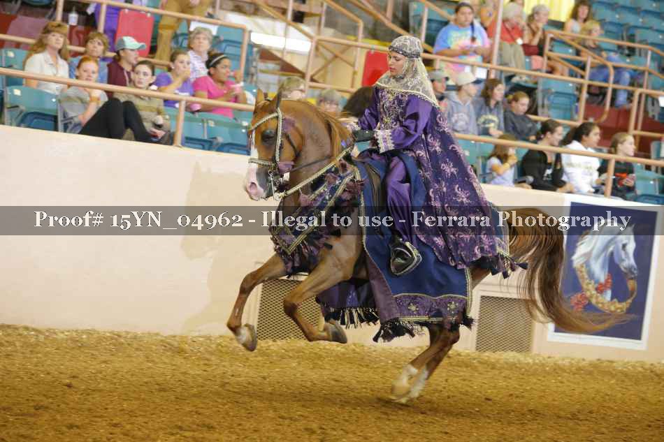 Proof 15YN_04962