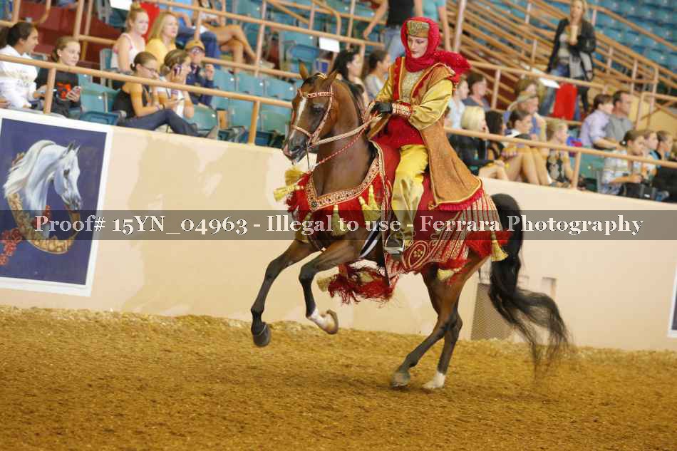Proof 15YN_04963