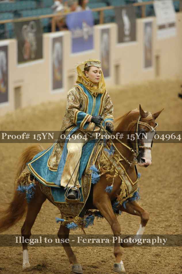 Proof 15YN_04964