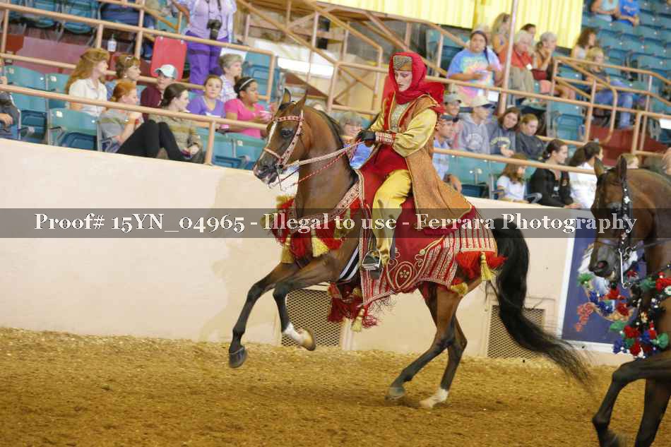 Proof 15YN_04965