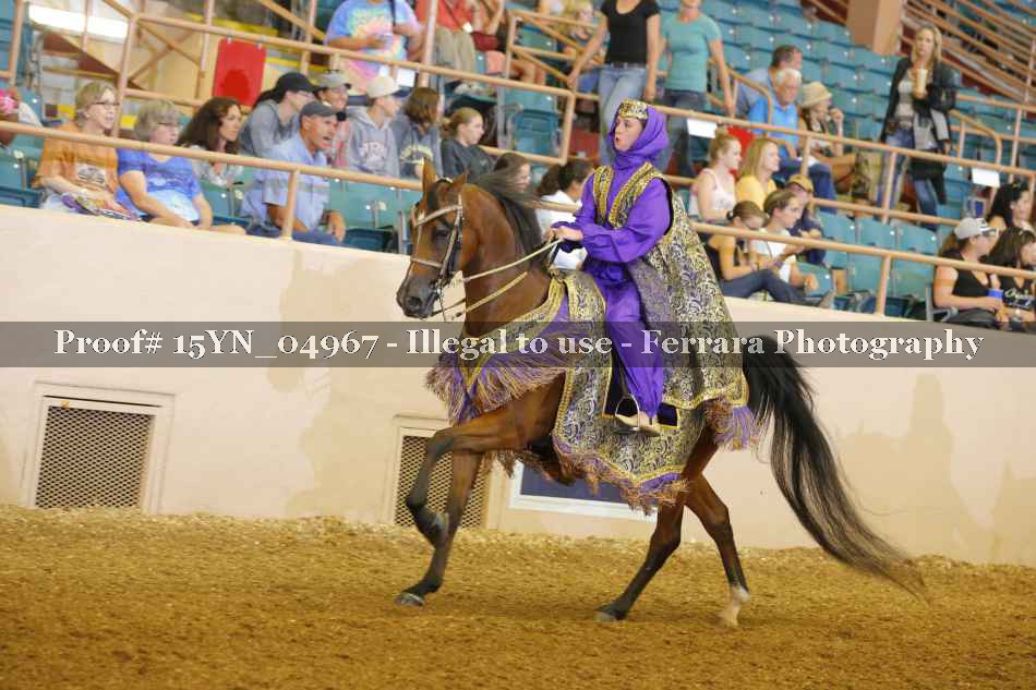 Proof 15YN_04967