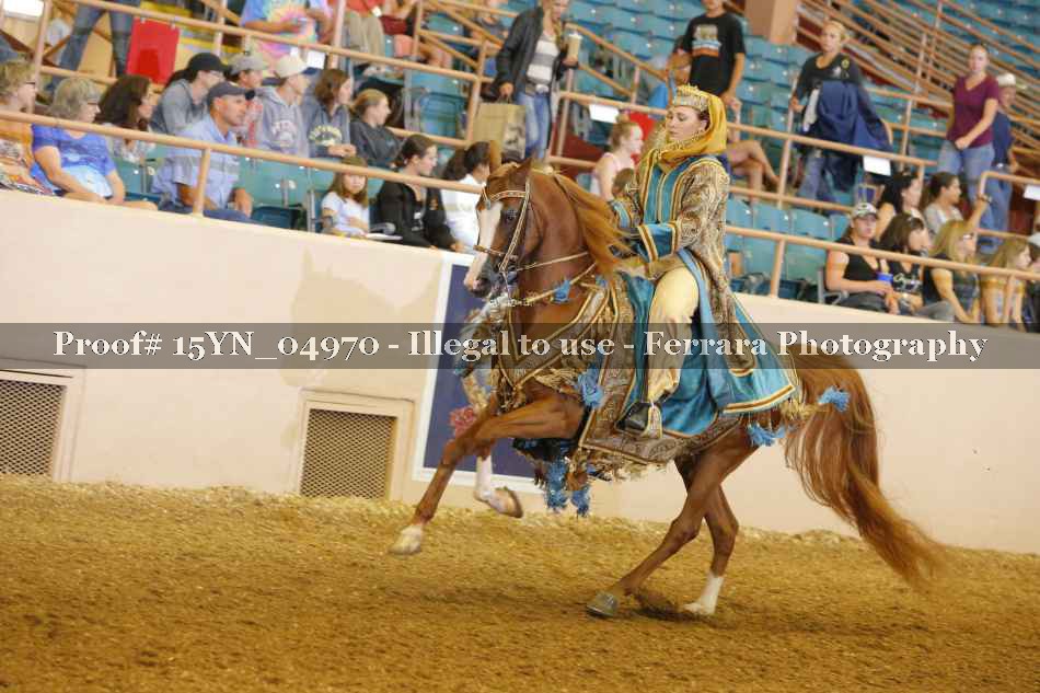 Proof 15YN_04970