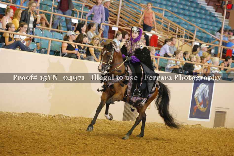Proof 15YN_04971