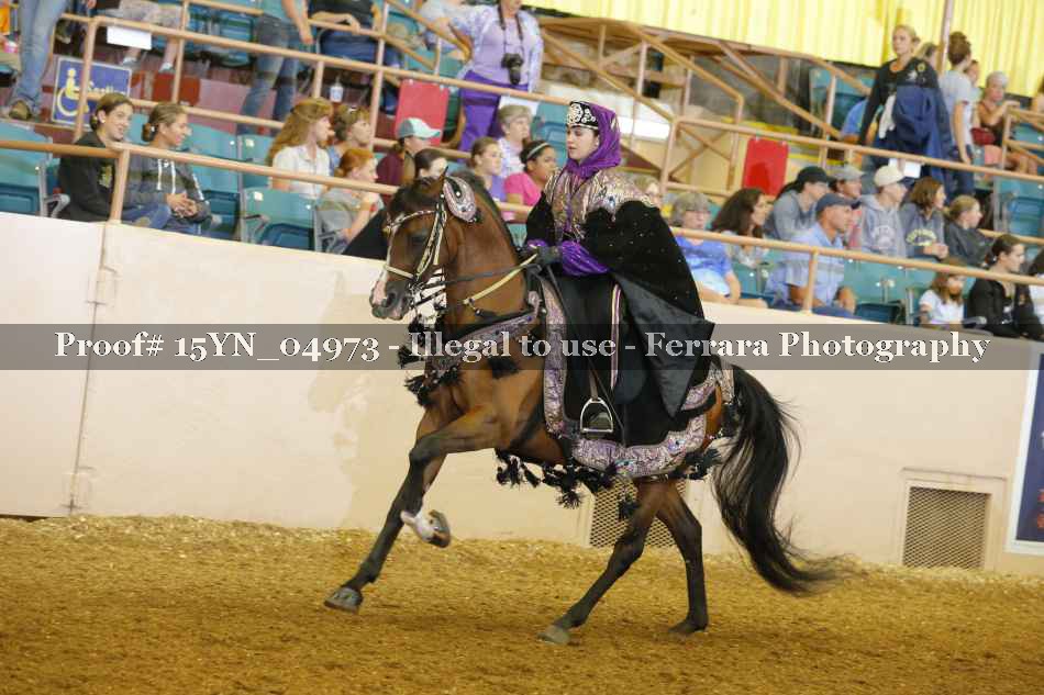 Proof 15YN_04973