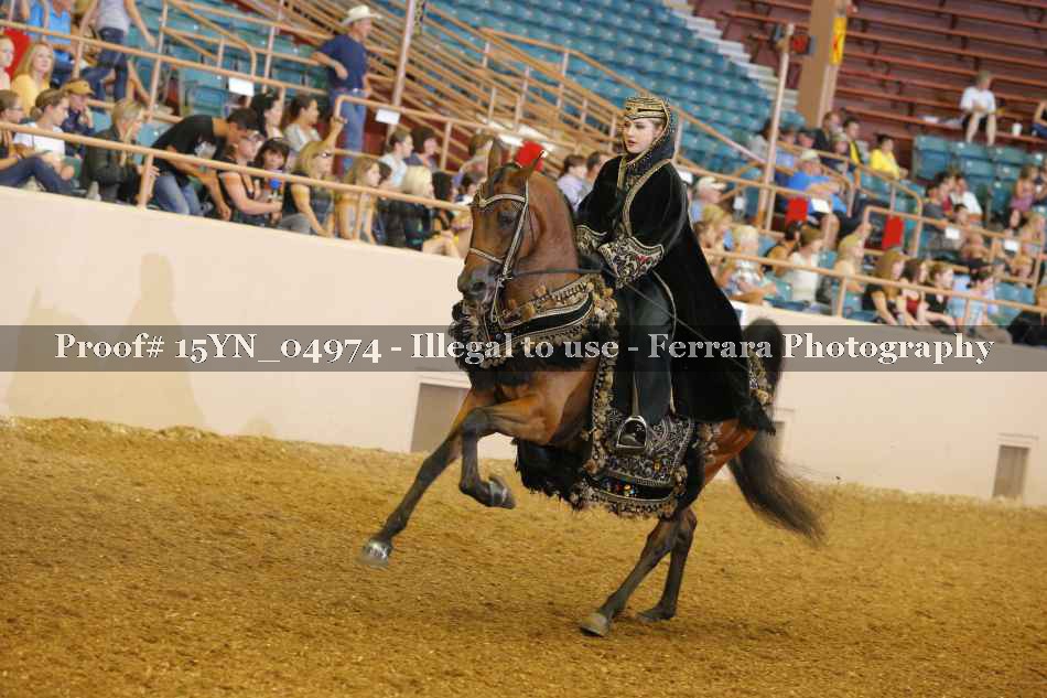 Proof 15YN_04974