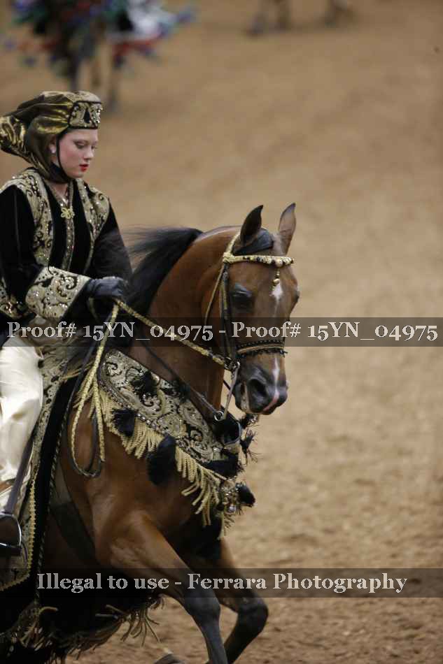 Proof 15YN_04975