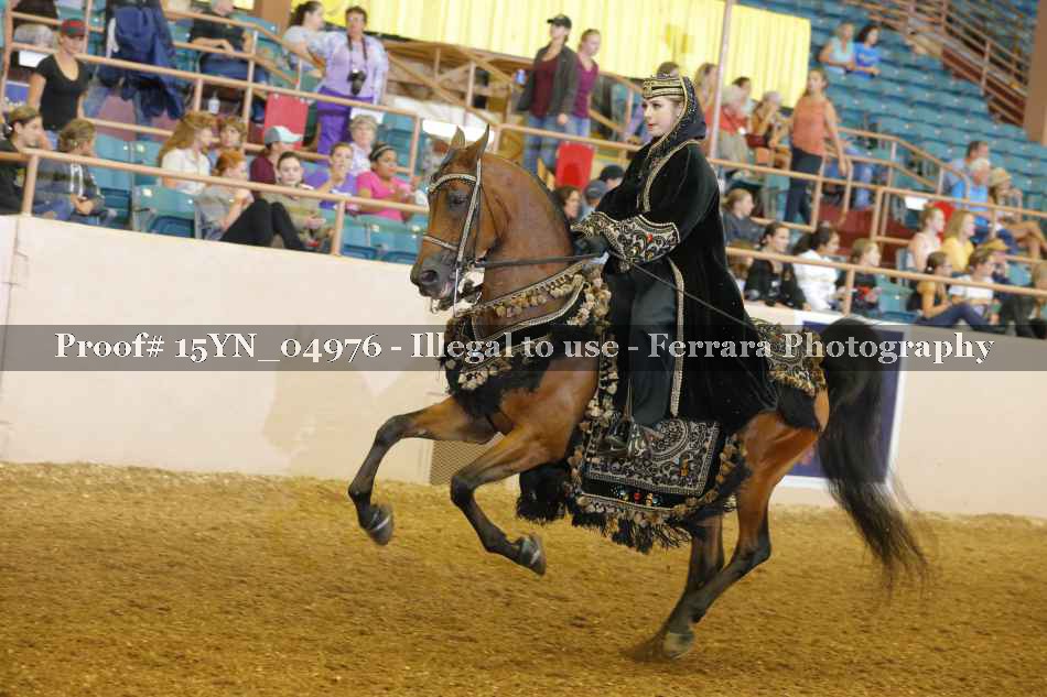 Proof 15YN_04976