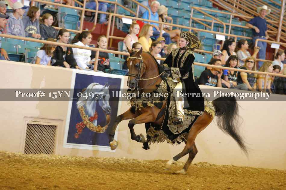 Proof 15YN_04977