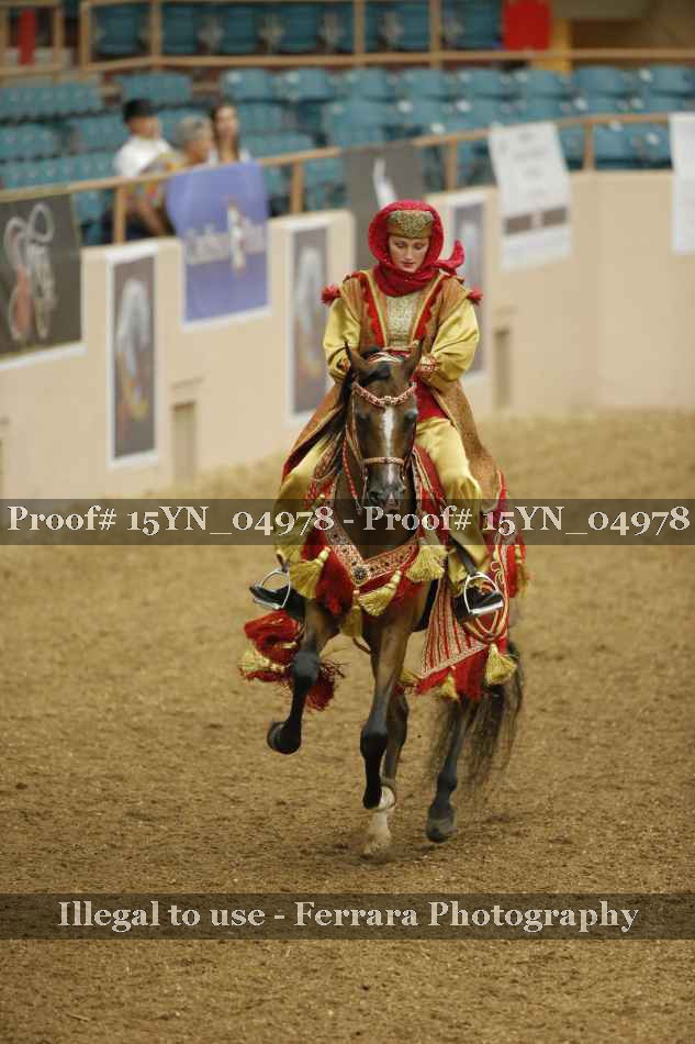 Proof 15YN_04978