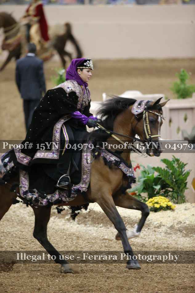 Proof 15YN_04979