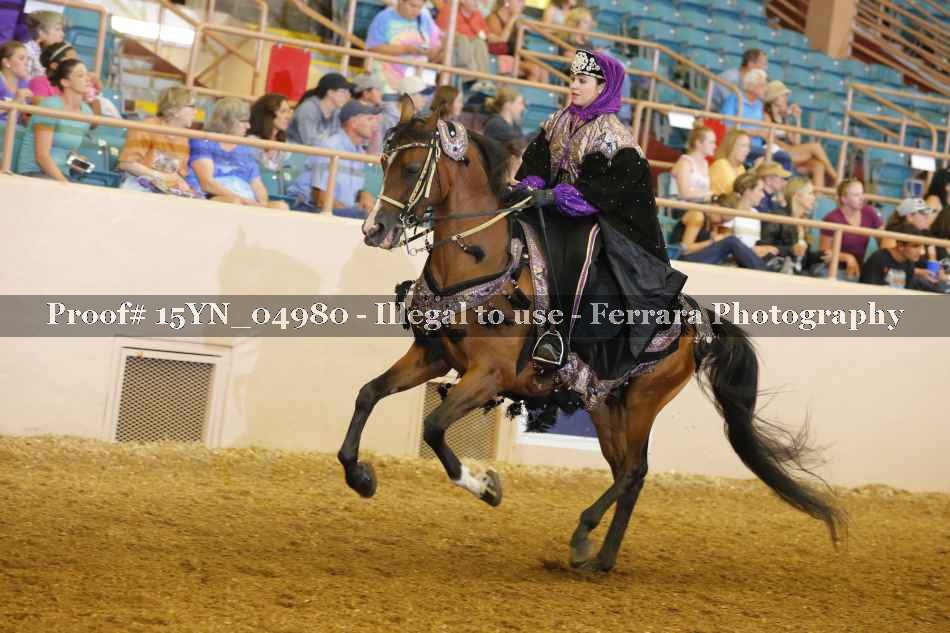 Proof 15YN_04980