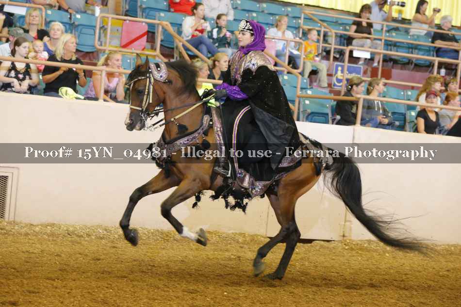 Proof 15YN_04981