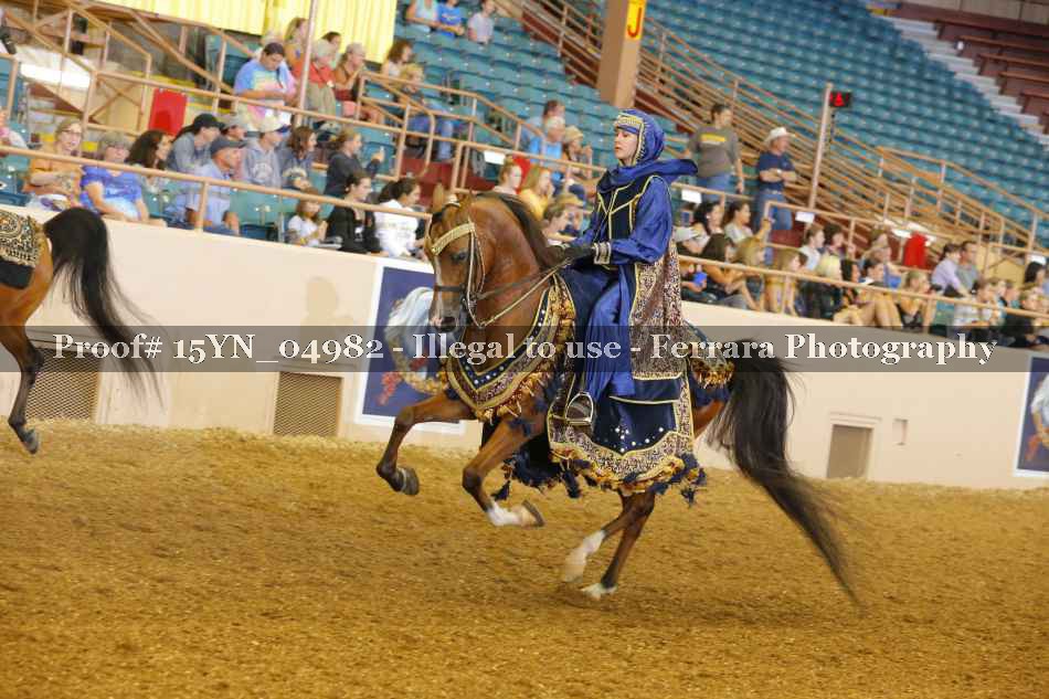 Proof 15YN_04982