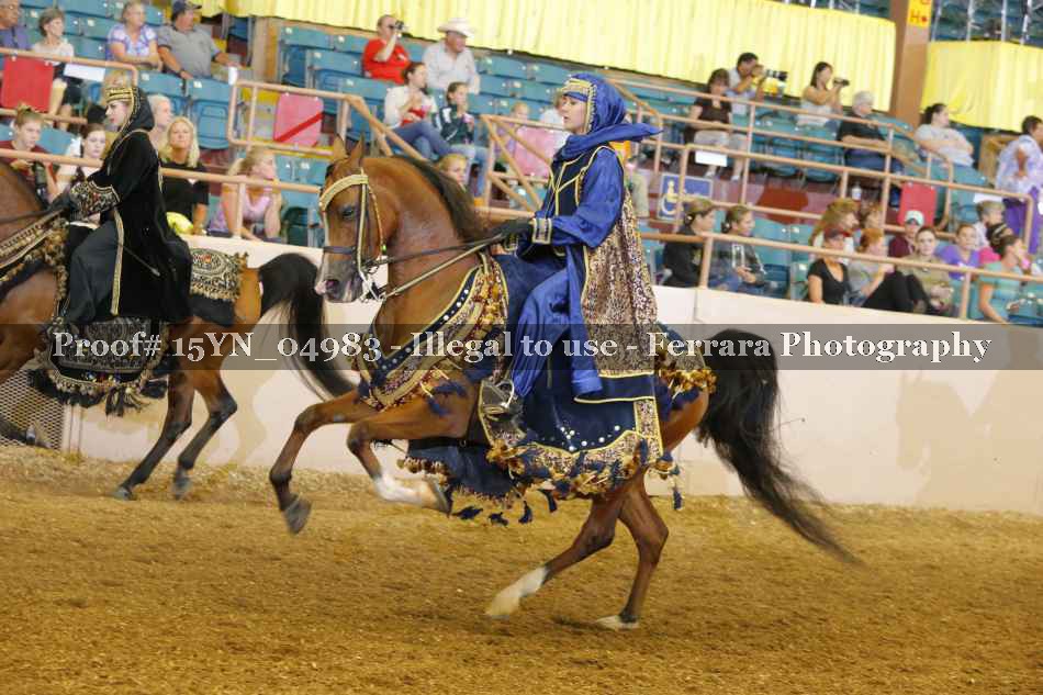 Proof 15YN_04983