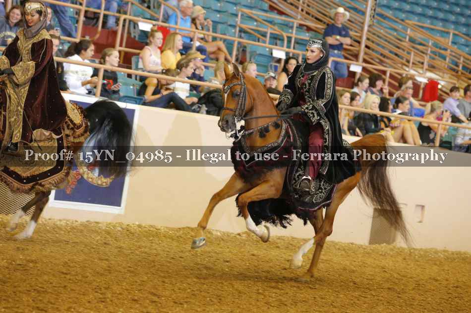 Proof 15YN_04985