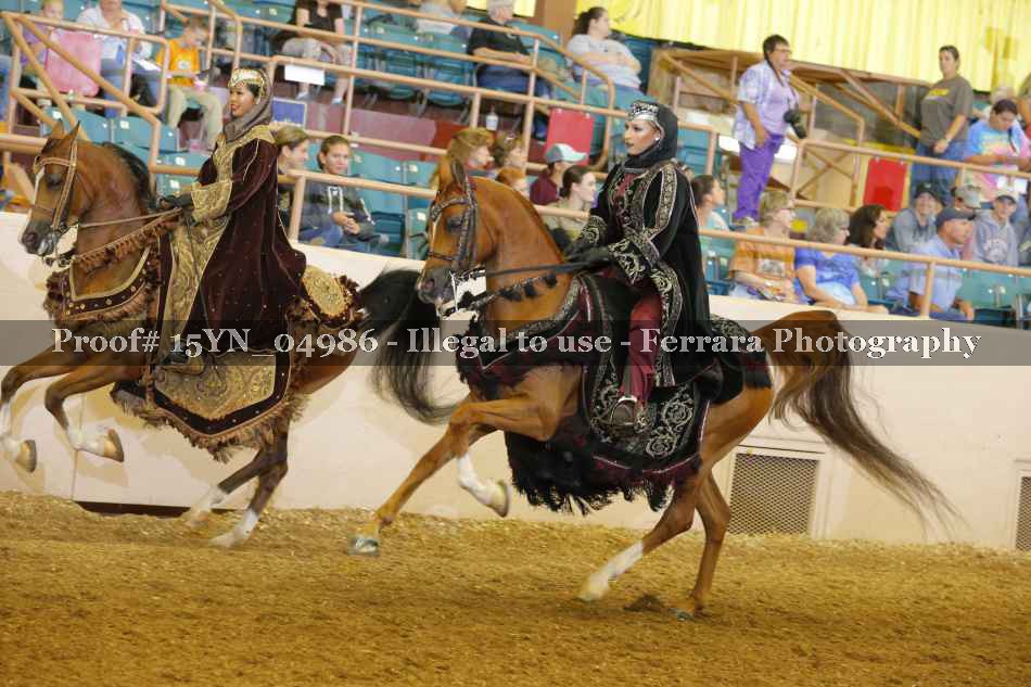 Proof 15YN_04986