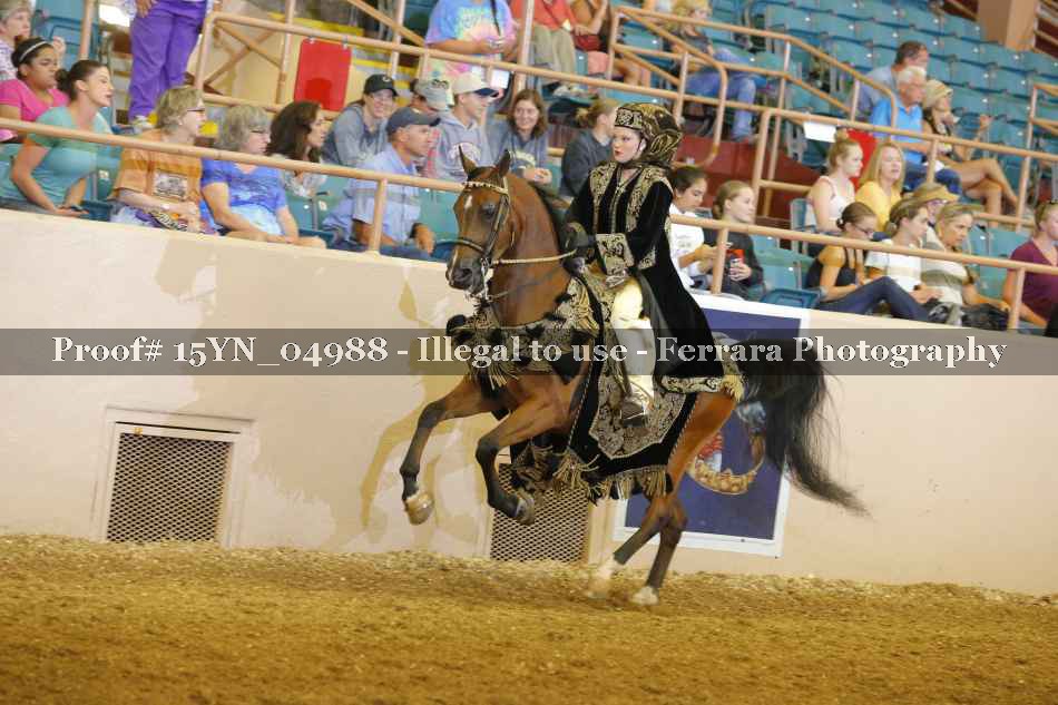 Proof 15YN_04988