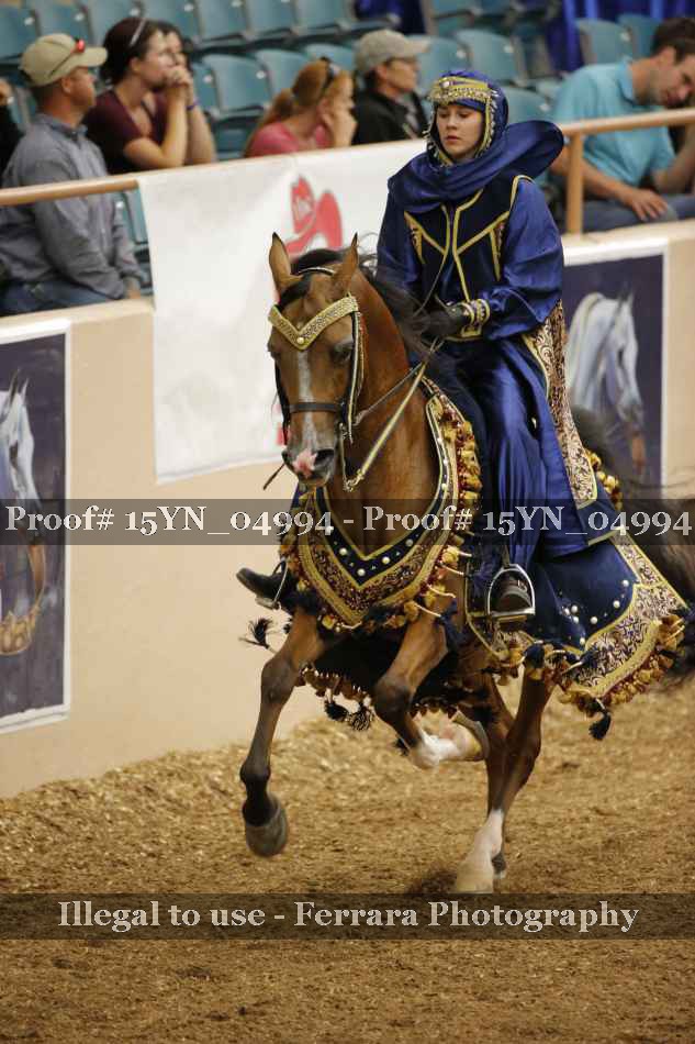 Proof 15YN_04994