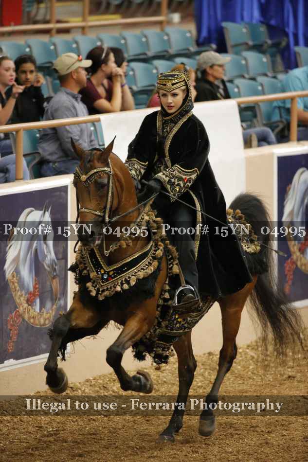 Proof 15YN_04995