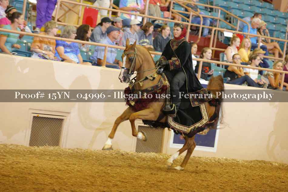 Proof 15YN_04996