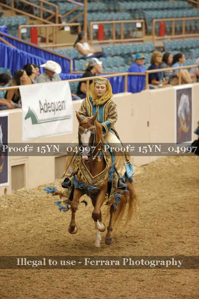 Proof 15YN_04997