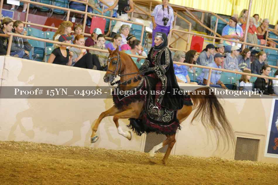 Proof 15YN_04998