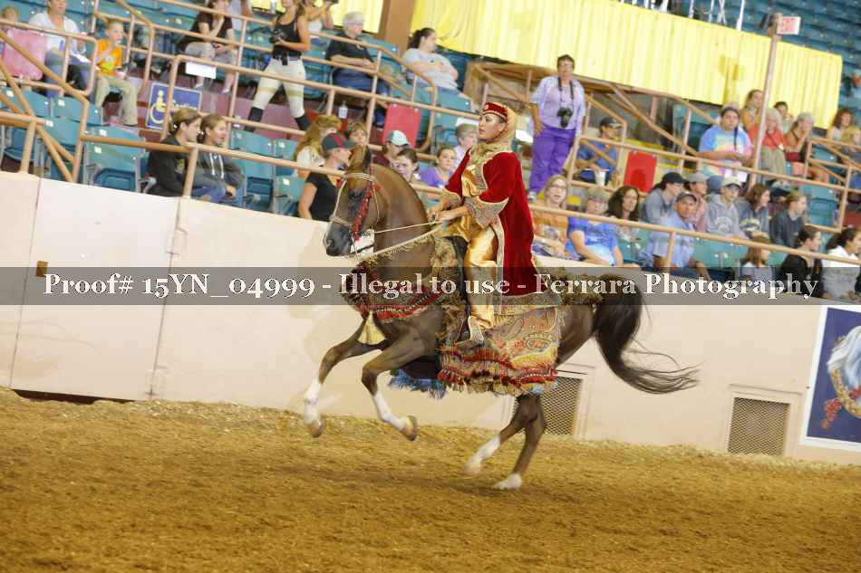 Proof 15YN_04999