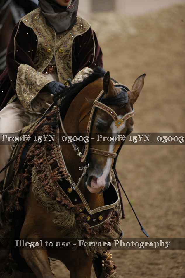 Proof 15YN_05003