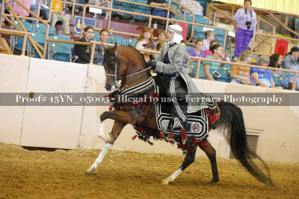 Proof 15YN_05005