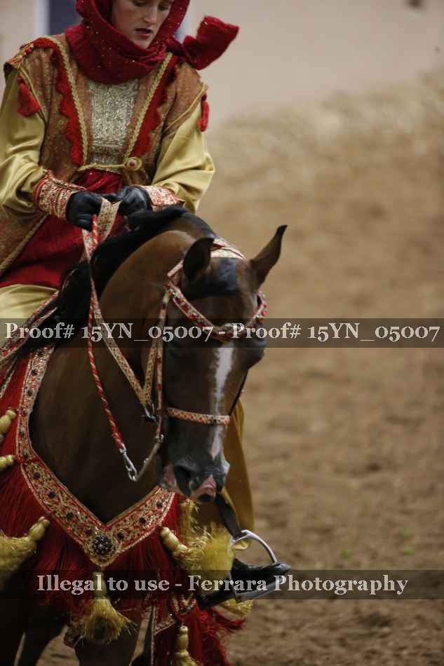 Proof 15YN_05007