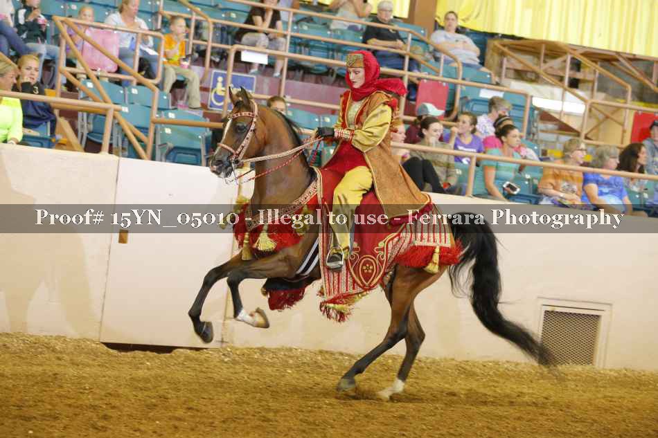 Proof 15YN_05010