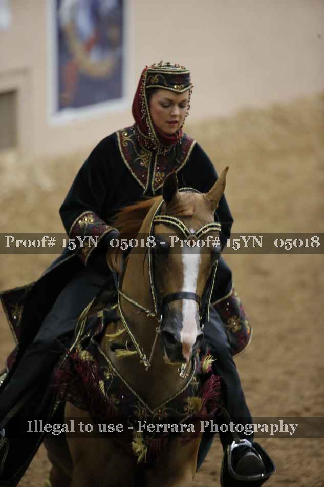 Proof 15YN_05018